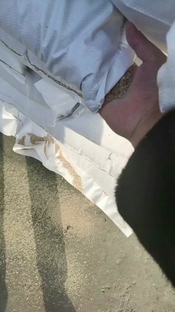 聊城麸皮
