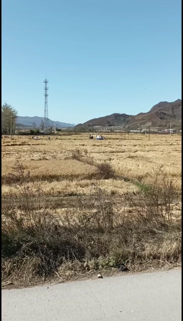 桓仁县稻花香