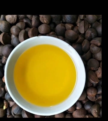  山茶油
