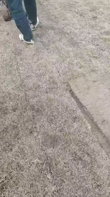  草