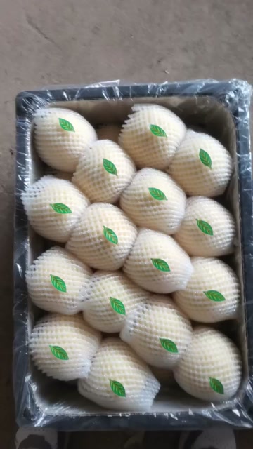黄元帅