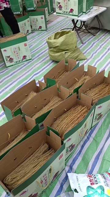  红薯粉条