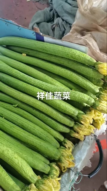  丝瓜