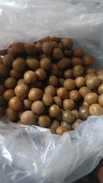 罗汉果