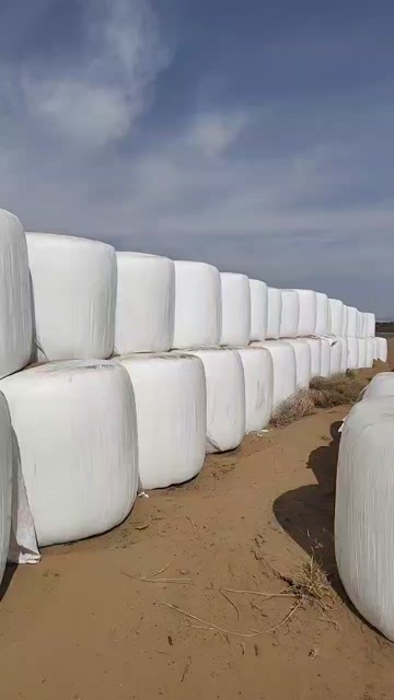 达拉特旗苜蓿裹包1600吨