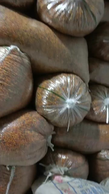  沙棘果