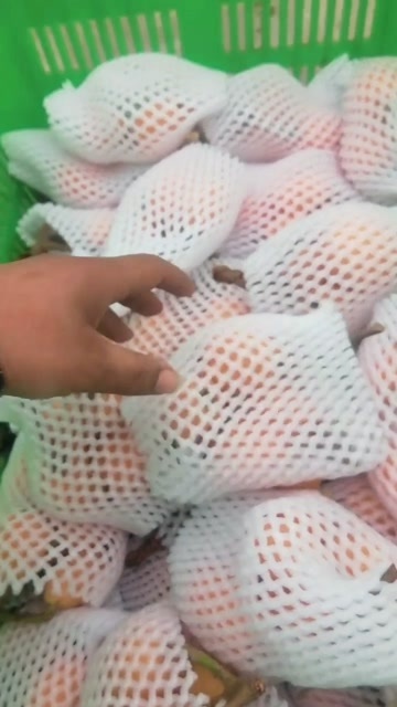 汉源县枇杷