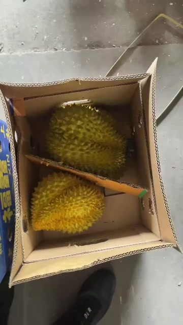 北京榴莲