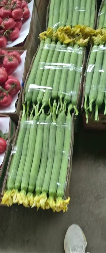  鲜花丝瓜
