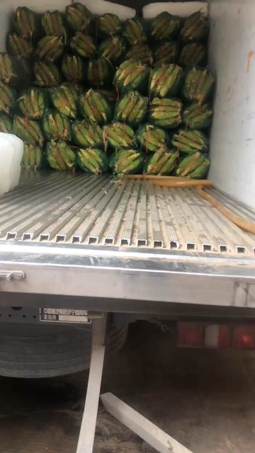 徐闻县甜玉米