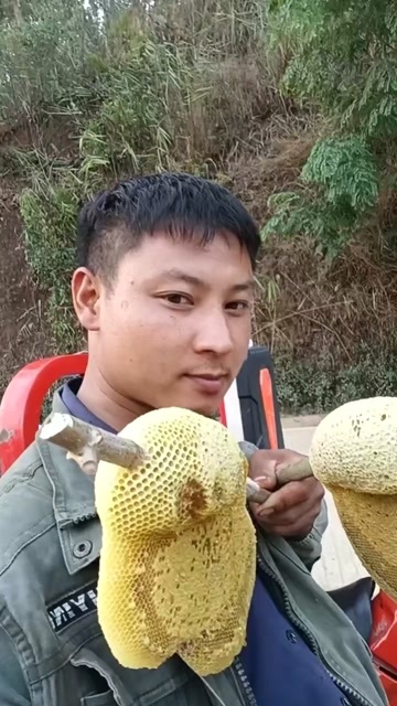  野蜂蜜