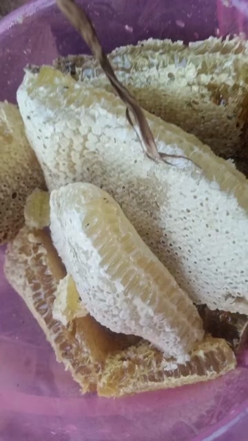 孟连县土蜂蜜