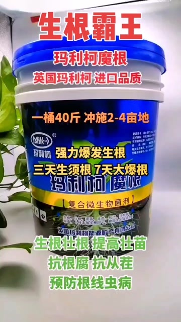 睢县水溶肥