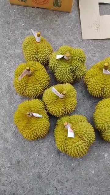 泰国甲仑榴莲1箱5-6个