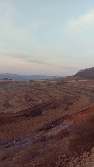 小麦