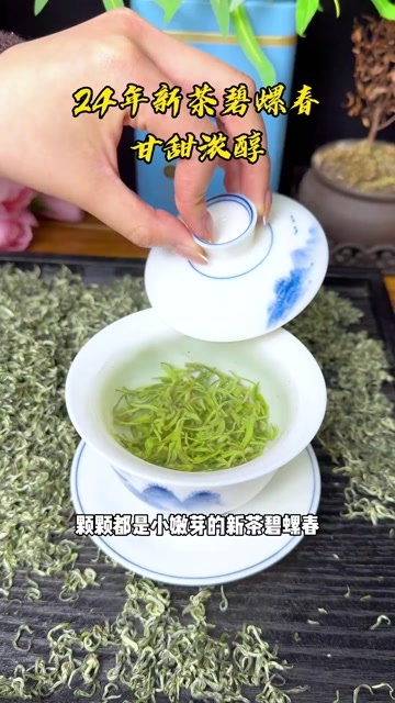 碧螺春