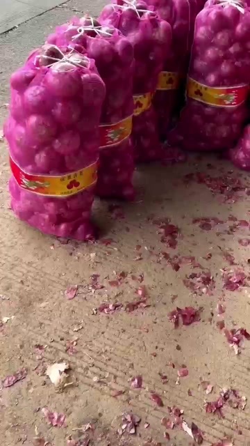  红皮洋葱