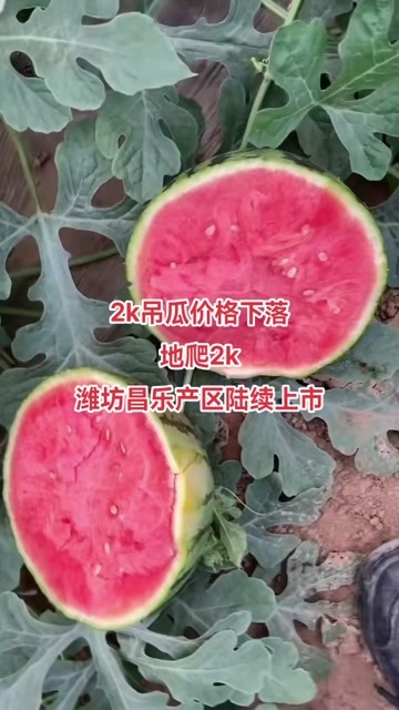  全美2k
