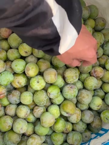  三华李