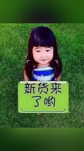  乌龙茶