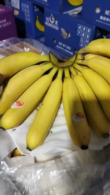 上海香蕉
