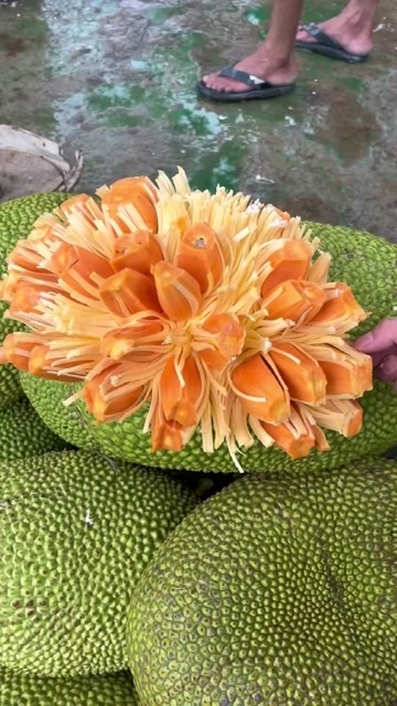  菠萝蜜