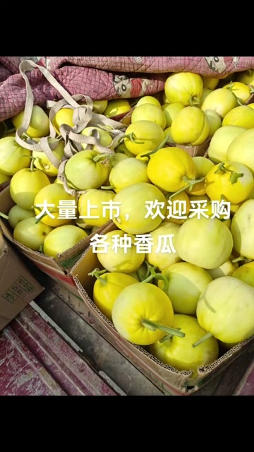 景甜甜瓜