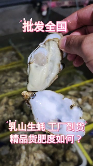 乳山市生蚝