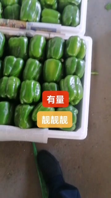  甜椒