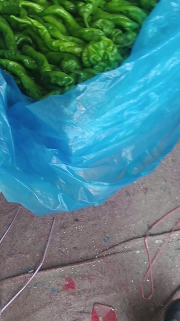  芜湖椒