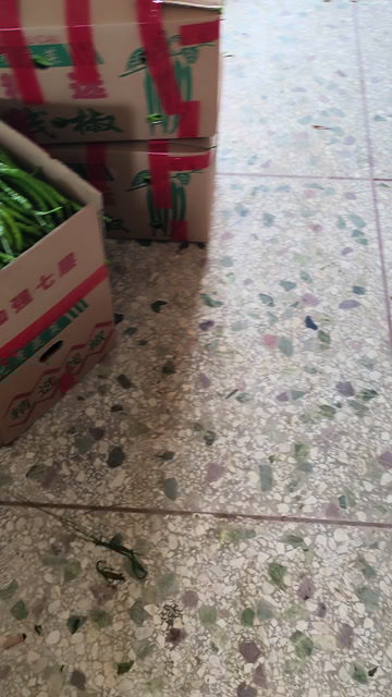  线椒