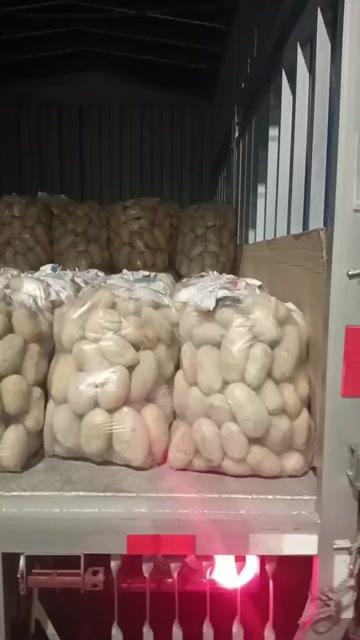 永嘉县土豆