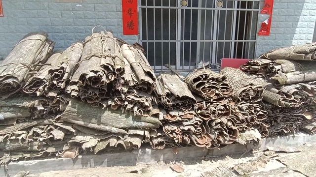  杜仲