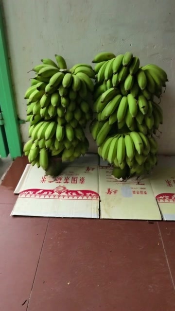  香蕉