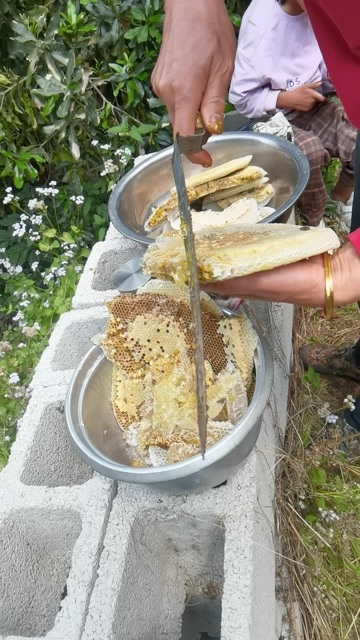  野蜂蜜