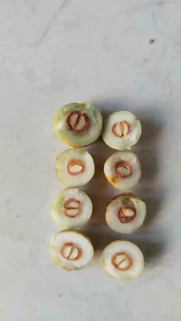  酸枣