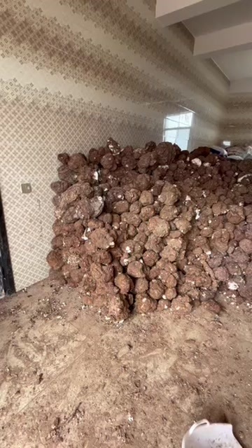 楚雄市白茯苓