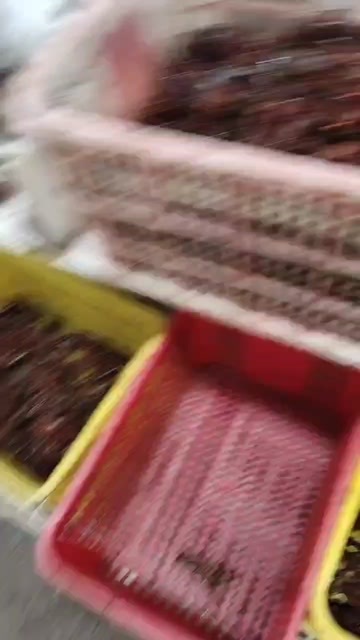  小龙虾