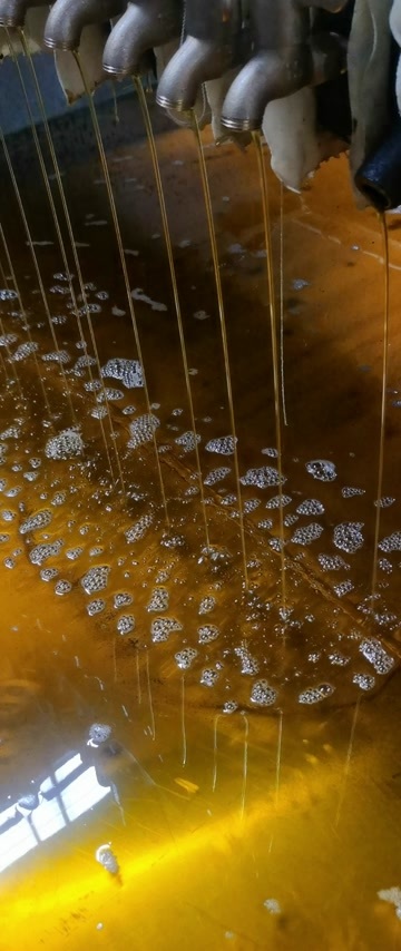  山茶油