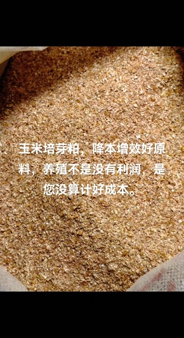 保定玉米胚芽粕