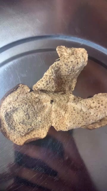 江门陈皮