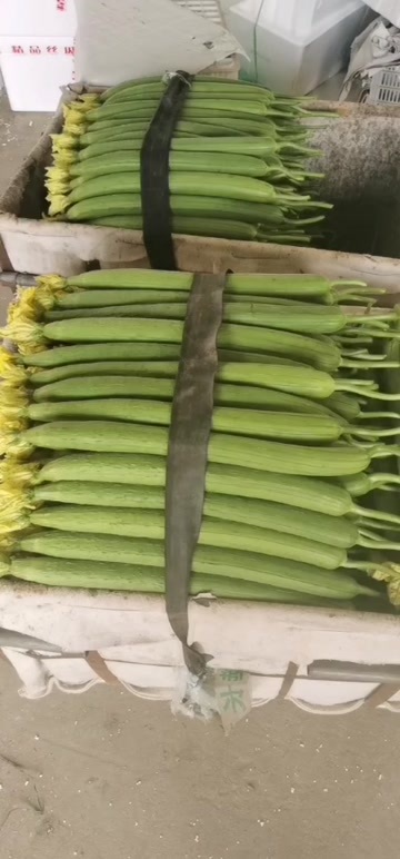  鲜花丝瓜