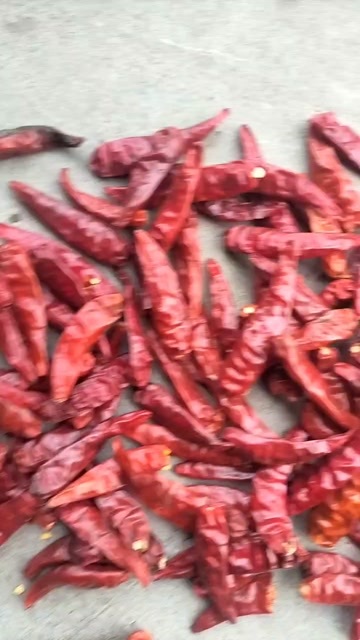 柘城县高辣剪把829