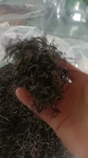  红茶