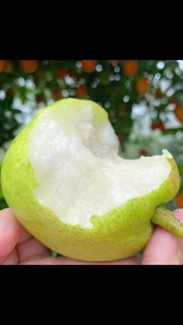  香梨