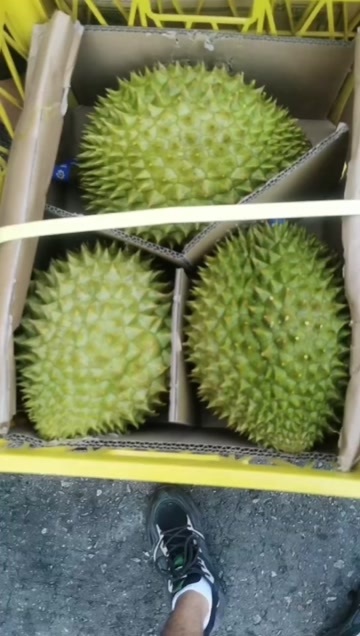  榴莲