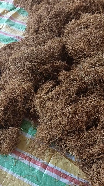 南阳红薯梗