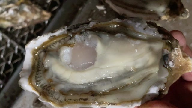 乳山市三倍体乳山生蚝，厂子直销，价位合理，保证质量诚信经营净化生蚝