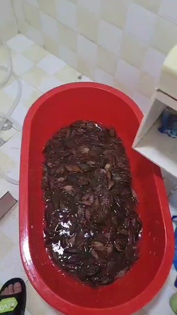 抚州小龙虾