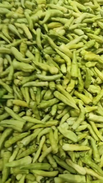 马关县小米椒